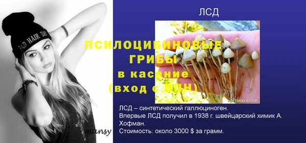 бошки Ладушкин
