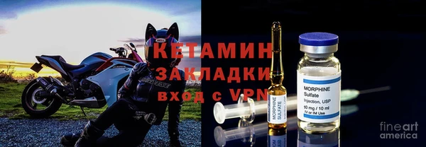 индика Балахна