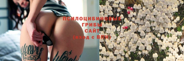 дмт Кулебаки